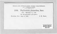 Phyllosticta phaseolina image